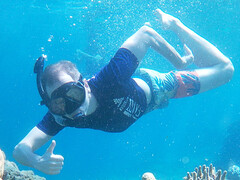 snorkling